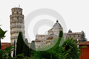 Scenic View through Trees of Leaning Tower and Pisa Cathedral, Piazza del Duomo, Pisa, Tuscany, Italy