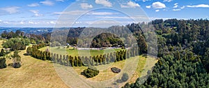 Scenic view of trees in Rj Hamer Arboretum.