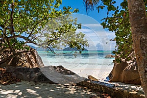 Scenic view of a tropical beach, with large rocks in the foreground in the shade of a palm tree