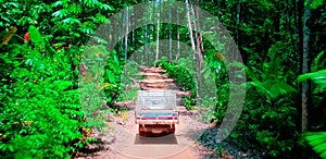 A scenic view of the tropical rainforest with a worker