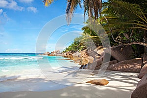 Scenic view of a tropical sandy beach with granite boulders and coconut palms. Seychelles. Indian Ocean