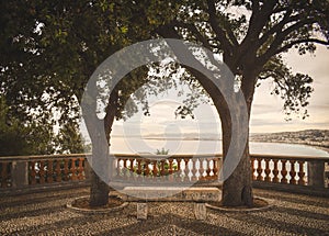 Scenic view of two trees and a bench with the view of French Riviera in Nice, France.