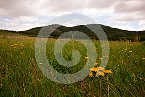 Scenic view on the Ural mountains