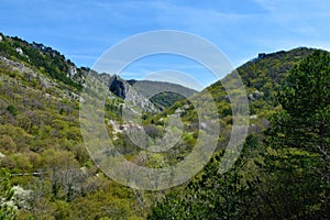 Scenic view of Val Rosandra or Glinscica valley near Trieste in Italy photo