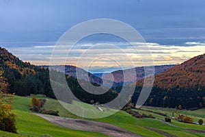 a scenic view of a valley with a road in the foreground and a forest in the background with a few trees