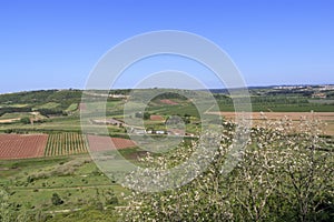 Scenic view of the valley from the wall of fortress of Obidos, Portugal. Plowed fields and trees. Portuguese village