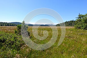 A scenic view of a vast meadow within the forests of Cape scott provincial park.
