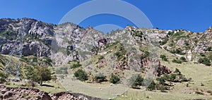 Scenic view of a verdant hillside landscape, featuring a lush hill with rocky outcrops and foliage