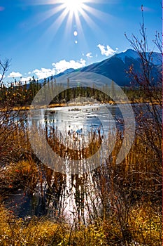 A scenic view of Vermillion Lake with reeds in front on a sunny fall day.