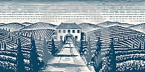 Scenic view of vineyards. Wide panoramic vine plantation in Chianti. French or Italian engraved landscape. Fields and
