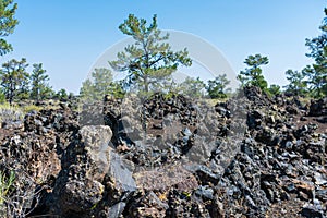 Scenic view of volcanic lava rocks with green conifer trees in background