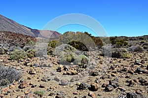 Scenic view of volcanic rock formations in desert during sunny day, Teide National Park, Tenerife photo