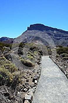 Scenic view of volcanic rock formations in desert during sunny day, Teide National Park, Tenerife photo