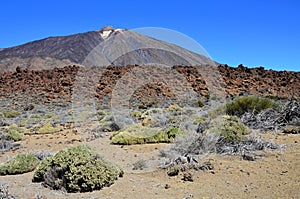 Scenic view of volcanic rock formations in desert during sunny day, Teide National Park, Tenerife photo