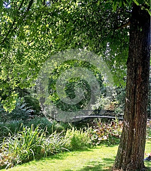 A scenic view of Vondel park Amsterdam