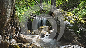 Scenic view of a waterfall cascading down the rocks in a forest