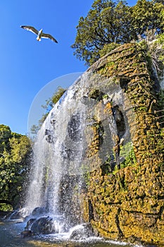 Scenic view of waterfall in Castle Hill Park Parc de la Colline photo