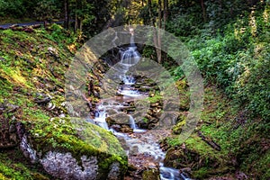 Scenic view of a waterfall in a green forest in Canton, North Carolina