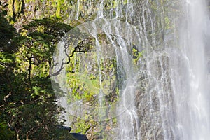 A scenic view of the waterfall in New Zealand