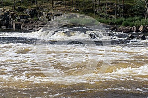 Scenic view of white and foamy waves surrounded by green vegetation in Norrland
