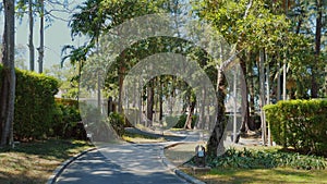 Scenic view of winding pathway through