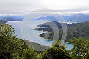 Scenic view of the winding waterways of the Marlborough Sounds. New Zealand.