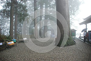 Scenic view of wooden benches in 88 Temple Pilgrimage on the island of Shikoku