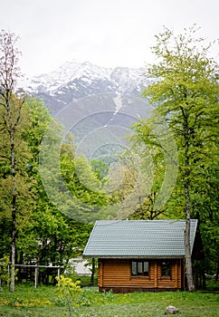 Scenic view wooden house surrounded green forest and snowy mountains