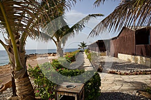 Scenic view of a wooden porch on the beach with palm trees on a sunny day