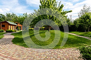 Scenic view yard garden trees and paved stone path road for walk against beautiful blue sky. Landscape design green lawn