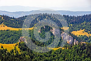 Malebný výhľad na žltkasté kopce so zelenými sviežimi lesmi. Veľká Fatra, Slovensko.