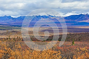 Scenic Viewpoint of Denali National Park Alaska