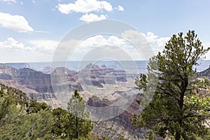 Scenic Views Of The Grand Canyon North Rim