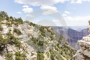 Scenic Views Of The Grand Canyon North Rim