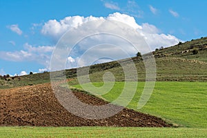 Scenic views of green fields and mountains from Aures region