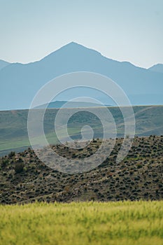 Scenic views of green fields and mountains from Aures region