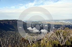 Scenic views of Narrowneck plateau