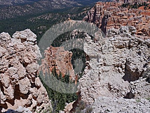 Scenic views at Rainbow Point, Bryce Canyon National Park