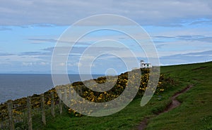 Scenic Views of the Shoreline Along St Bees in England photo
