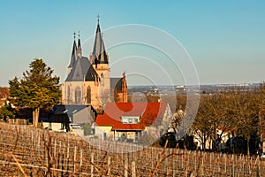 Scenic vineyards in Oppenheim am Rhein with the striking St. Catherine's Church, Germany