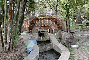 Scenic Vintage Narra Wood Bridge in Peaceful Garden Setting