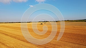 Scenic Vivid Scene of a Harvester Working a Crop Field Mid Summer Hot Sunny Dry Day