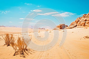 Scenic Wadi rum desert panorama in hot sunny day with car tracks on sand. Famous filming locations of movies like Star wars the