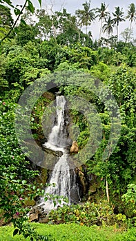 Scenic Waterfall in Lush Tropical Rainforest with Green Foliage and Cascading Water Stream