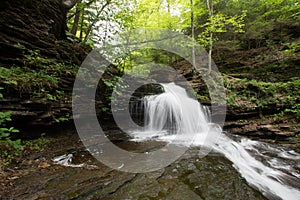 Scenic Waterfall in Ricketts Glen State Park in The Poconos in P