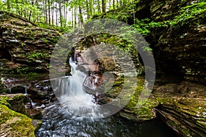 Scenic Waterfall in Ricketts Glen State Park in The Poconos in P