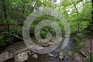 Scenic Waterfall in Ricketts Glen State Park in The Poconos in P