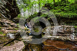 Scenic Waterfall in Ricketts Glen State Park in The Poconos in P