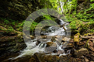 Scenic Waterfall in Ricketts Glen State Park in The Poconos in P