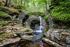 Scenic Waterfall in Ricketts Glen State Park in The Poconos in P